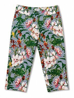 Peck & Peck Floral Stripe Cropped Pants Size 16 Tropical Resort Stretch